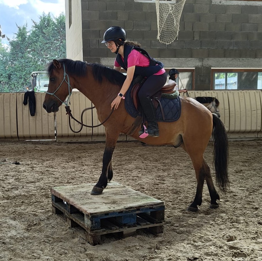 Cours équitation